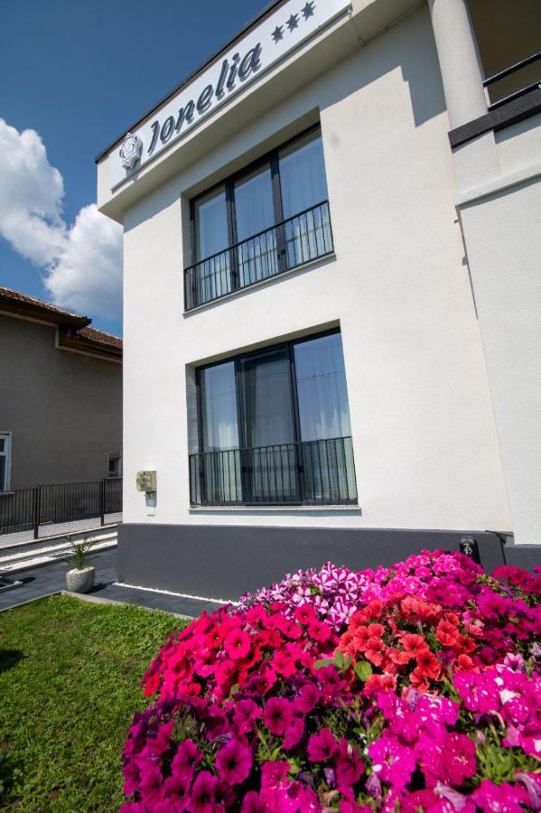 Pensiunea Ionelia Orşova Exterior foto